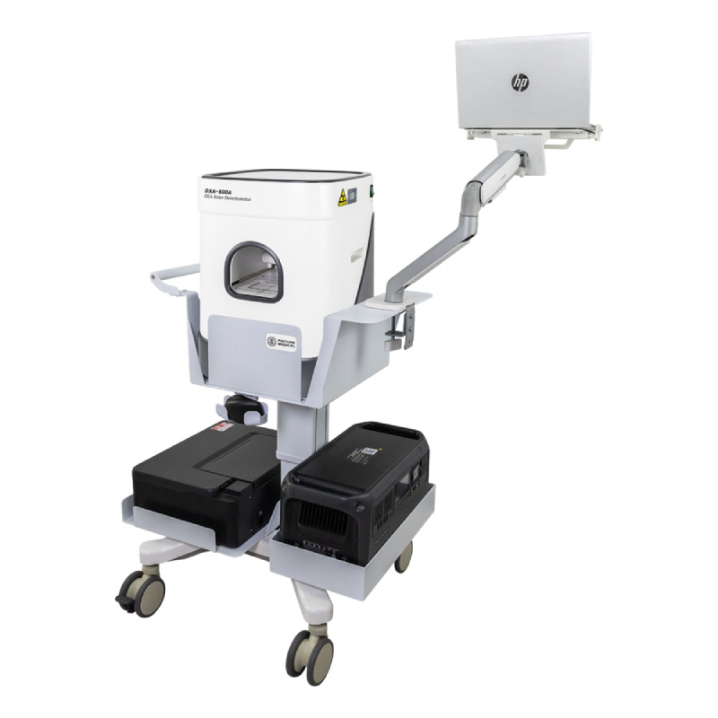 portable dual-energy X-ray absorptiometry (DXA) scanner